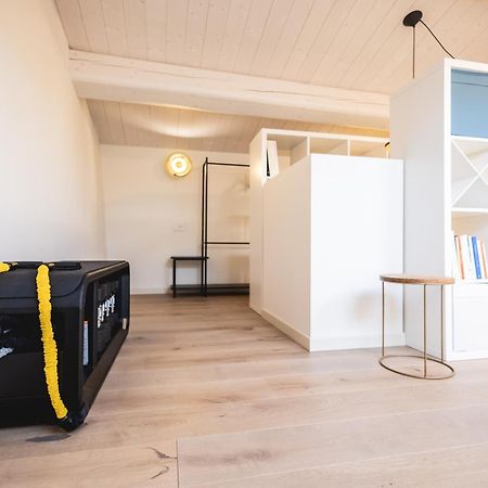 Villa Luxury & Design: Oasi Nel Centro Storico Di Rimini Esterno foto